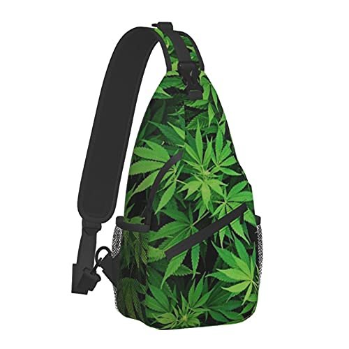 Best Backpack for Traveling With Weed