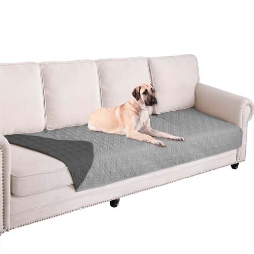 Best Furniture Material for Dogs