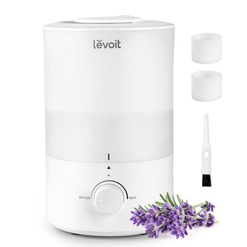 Best Humidifier for Essential Oils